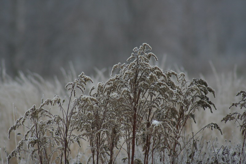 IMG_1697.jpg1.jpg"%20height="533"%20width="800